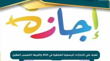 تعرف على الإجازات الرسمية المتبقية في 2025 وأقربها الخميس المقبل